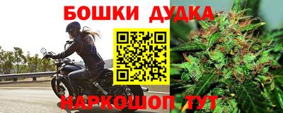 молекула духа Сланцы